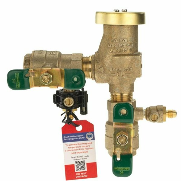 Febco 3/4 in. FPT in. X 3/4 in. FPT in. Bronze Vacuum Breaker T950009